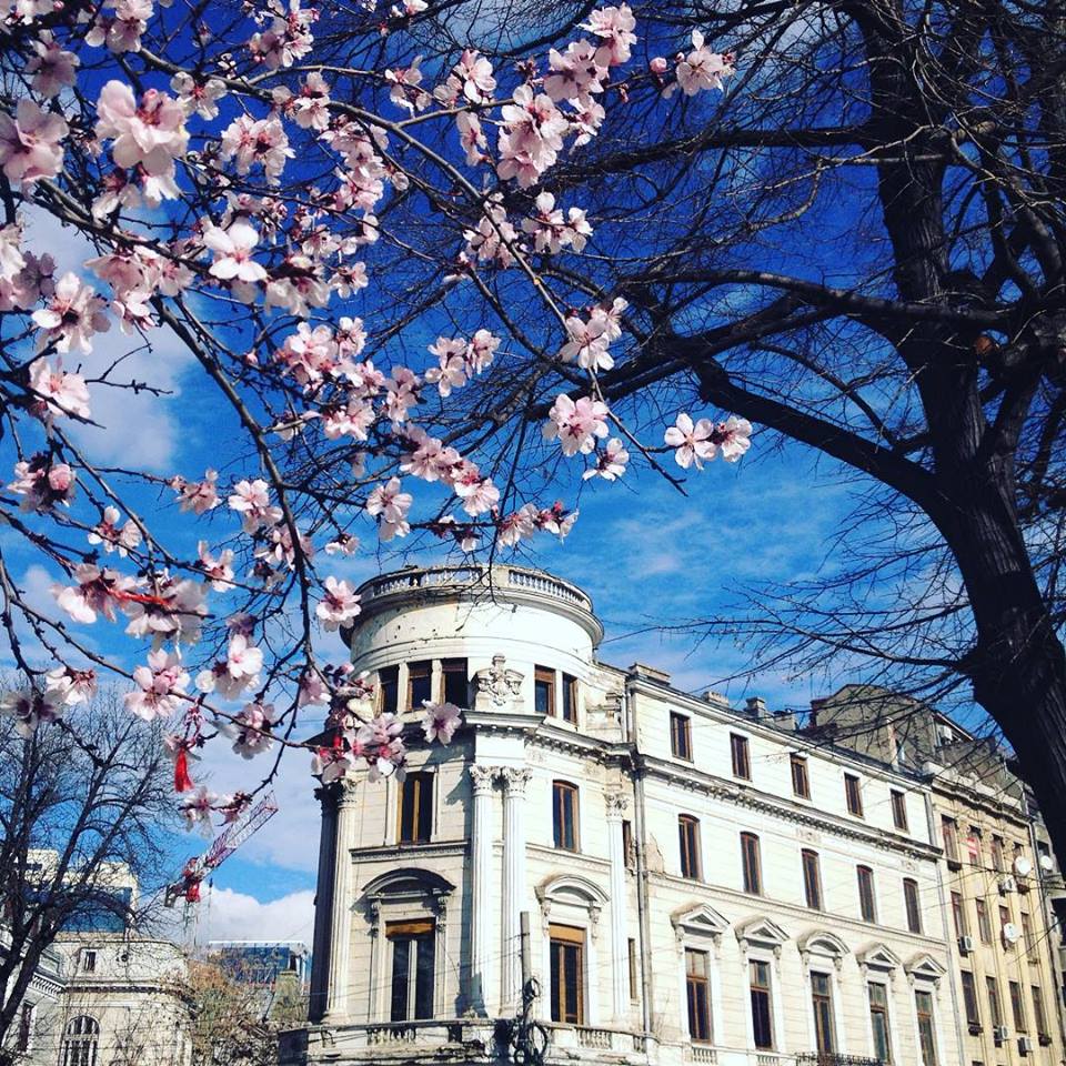 When in Bucharest - Bucharest in spring